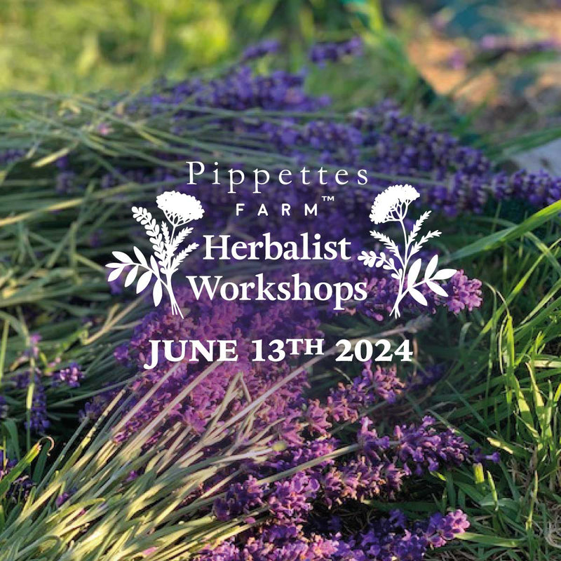 Herbalist Workshop - Thursday June 13th 2024