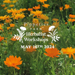 Herbalist Workshop - Thursday 16th May 2024