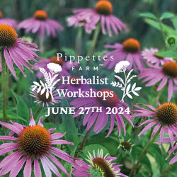 Herbalist Workshop - Thursday June 27th 2024