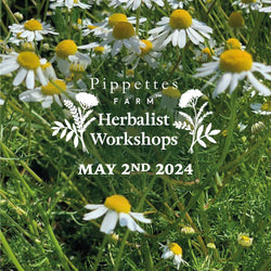 Herbalist Workshop - Thursday 2nd May 2024