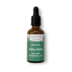 gotu kola infused botanical oil in a pipette bottle