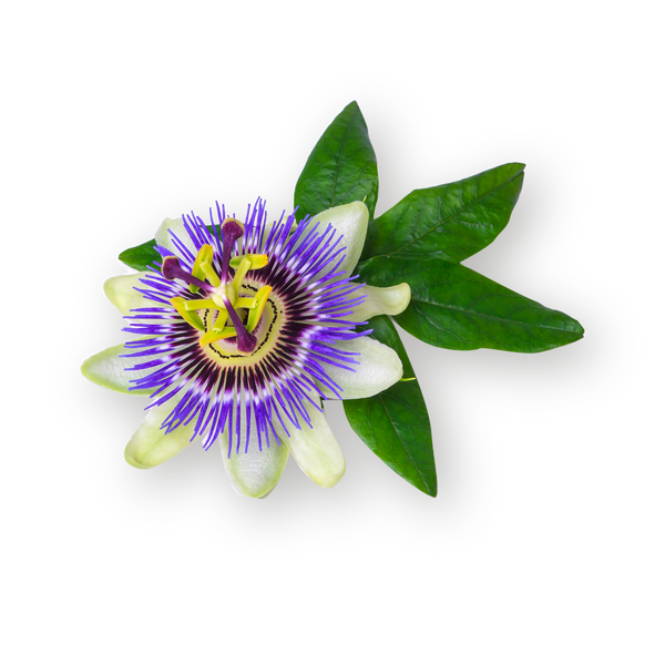 Passionflower - Dried Herb 100g